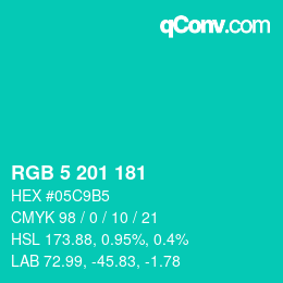 Color code: RGB 5 201 181 | qconv.com