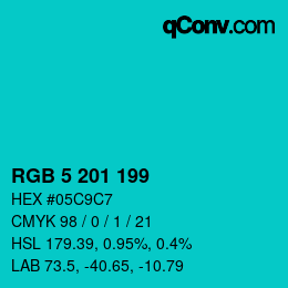 Color code: RGB 5 201 199 | qconv.com