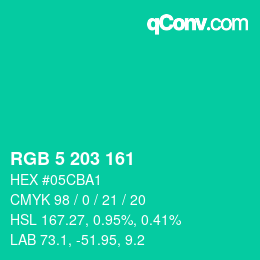 Color code: RGB 5 203 161 | qconv.com