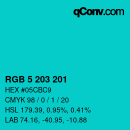 Color code: RGB 5 203 201 | qconv.com