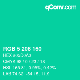 Color code: RGB 5 208 160 | qconv.com