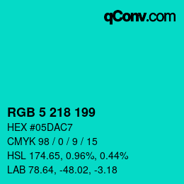 Color code: RGB 5 218 199 | qconv.com