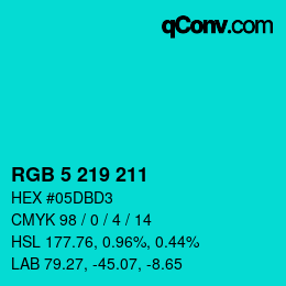 Color code: RGB 5 219 211 | qconv.com
