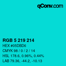 Color code: RGB 5 219 214 | qconv.com