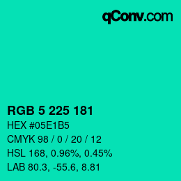 Color code: RGB 5 225 181 | qconv.com