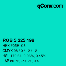 Color code: RGB 5 225 198 | qconv.com