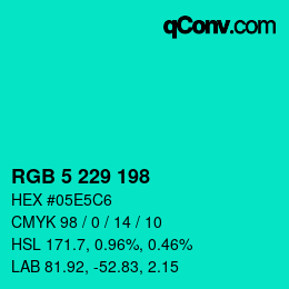 Color code: RGB 5 229 198 | qconv.com