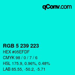 Color code: RGB 5 239 223 | qconv.com