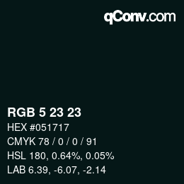Color code: RGB 5 23 23 | qconv.com