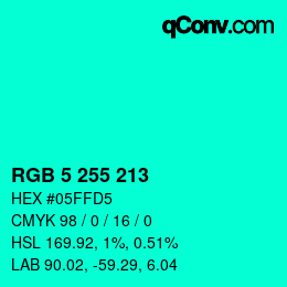 Color code: RGB 5 255 213 | qconv.com