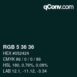 Color code: RGB 5 36 36 | qconv.com
