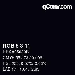 Color code: RGB 5 3 11 | qconv.com