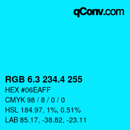 カラーコード: RGB 6.3 234.4 255 | qconv.com
