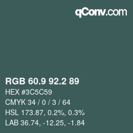 Color code: RGB 60.9 92.2 89 | qconv.com