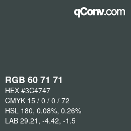 カラーコード: RGB 60 71 71 | qconv.com
