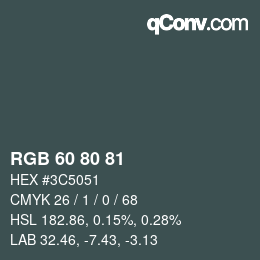Farbcode: RGB 60 80 81 | qconv.com