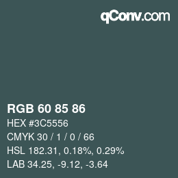 颜色代码: RGB 60 85 86 | qconv.com