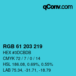 Color code: RGB 61 203 219 | qconv.com