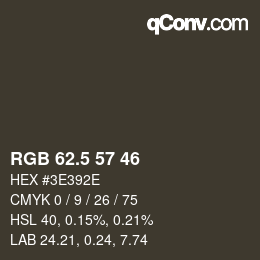 颜色代码: RGB 62.5 57 46 | qconv.com