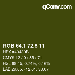 カラーコード: RGB 64.1 72.8 11 | qconv.com