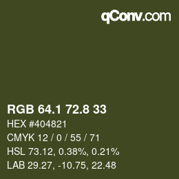 Color code: RGB 64.1 72.8 33 | qconv.com