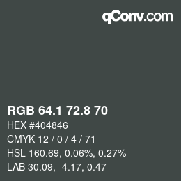Color code: RGB 64.1 72.8 70 | qconv.com
