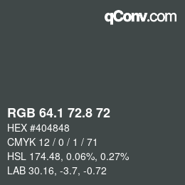 Farbcode: RGB 64.1 72.8 72 | qconv.com