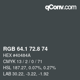Color code: RGB 64.1 72.8 74 | qconv.com