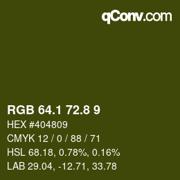 Color code: RGB 64.1 72.8 9 | qconv.com