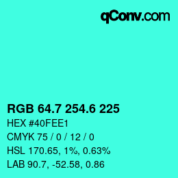 カラーコード: RGB 64.7 254.6 225 | qconv.com