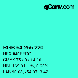 Color code: RGB 64 255 220 | qconv.com