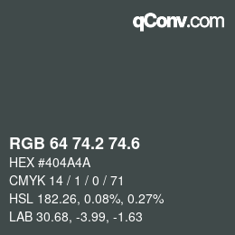 カラーコード: RGB 64 74.2 74.6 | qconv.com