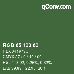颜色代码: RGB 65 103 60 | qconv.com