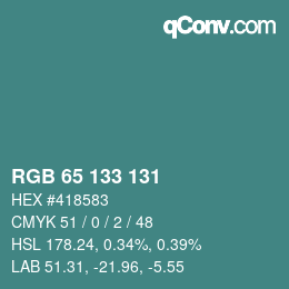 Color code: RGB 65 133 131 | qconv.com