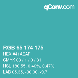 Color code: RGB 65 174 175 | qconv.com