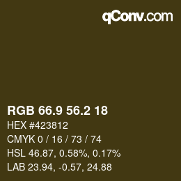 Color code: RGB 66.9 56.2 18 | qconv.com