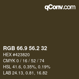 Color code: RGB 66.9 56.2 32 | qconv.com