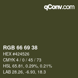 Farbcode: RGB 66 69 38 | qconv.com