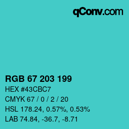 Color code: RGB 67 203 199 | qconv.com