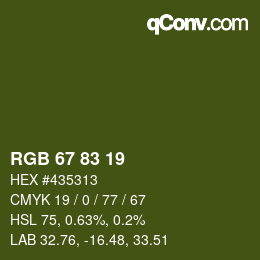 Farbcode: RGB 67 83 19 | qconv.com