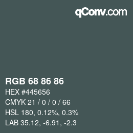 Código de color: RGB 68 86 86 | qconv.com