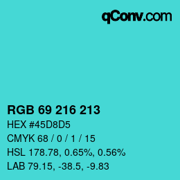 Color code: RGB 69 216 213 | qconv.com