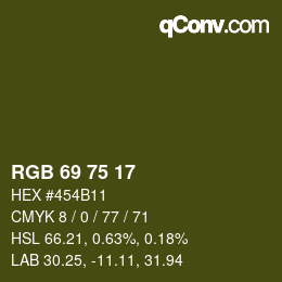 Farbcode: RGB 69 75 17 | qconv.com