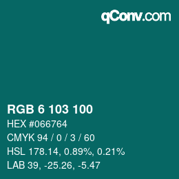 Color code: RGB 6 103 100 | qconv.com