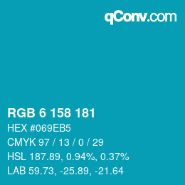 Color code: RGB 6 158 181 | qconv.com