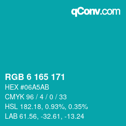 Color code: RGB 6 165 171 | qconv.com