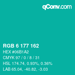 Color code: RGB 6 177 162 | qconv.com