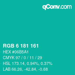 Color code: RGB 6 181 161 | qconv.com