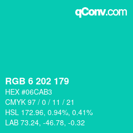 Color code: RGB 6 202 179 | qconv.com
