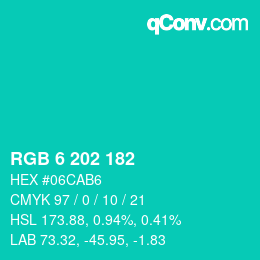 Color code: RGB 6 202 182 | qconv.com
